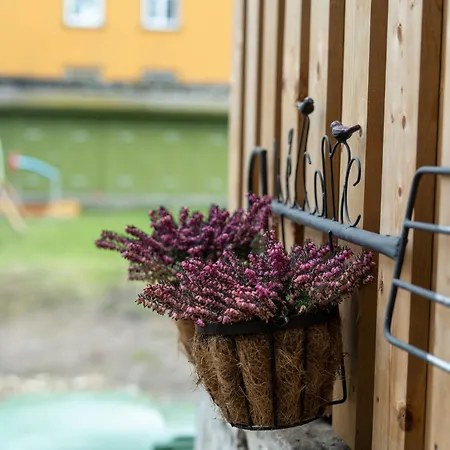 Appartement Garden Next To Telliskivi & Old Town Tallinn