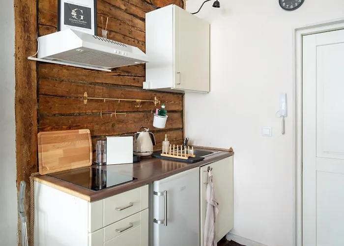 Garden Next To Telliskivi & Old Town 塔林